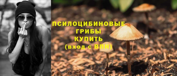 круглые Алзамай