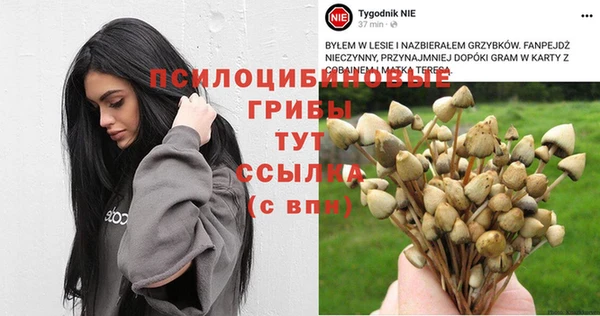 круглые Алзамай